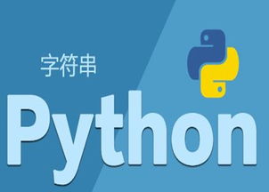 婁底Python入門基礎培訓教程 - 動腦供信息技術咨詢服務