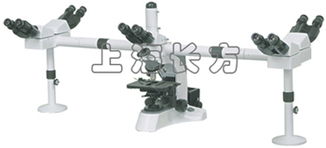 探索微觀世界 教學顯微鏡與多人觀察顯微鏡的應用與選擇